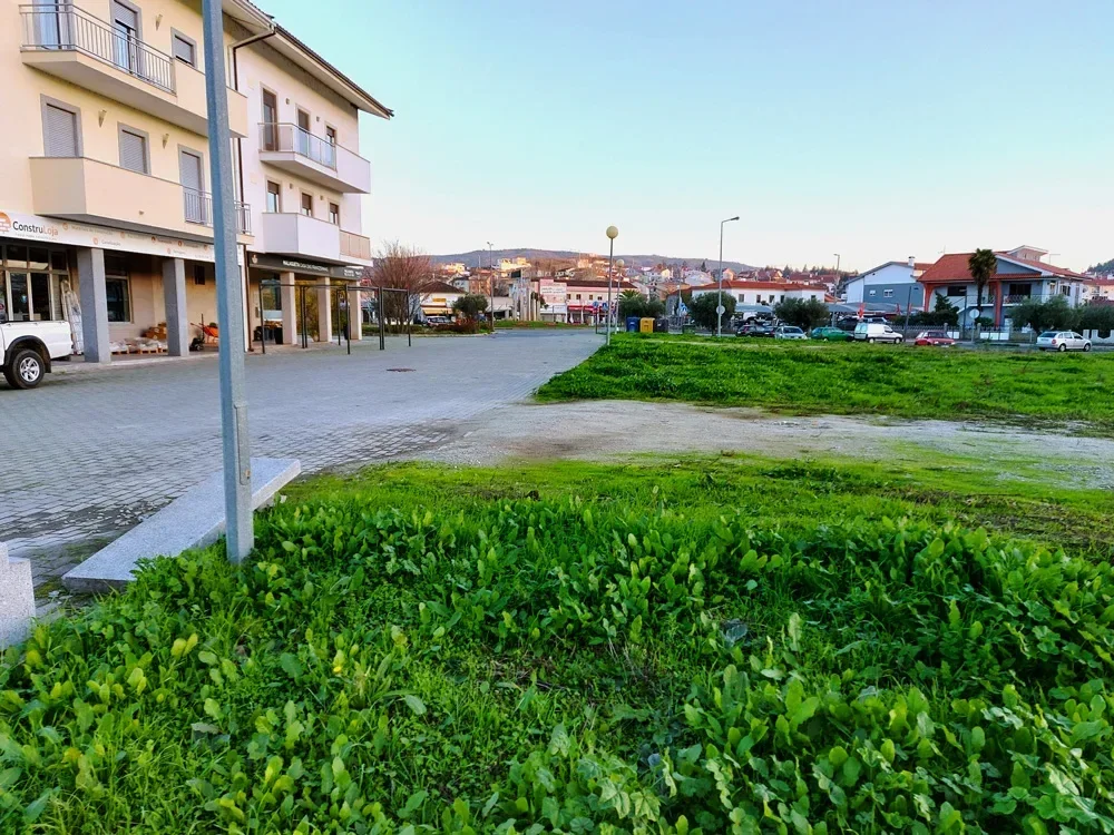 O terreno antes da intervenção: talude de vegetação espontânea junto ao passeio e aos prédios.