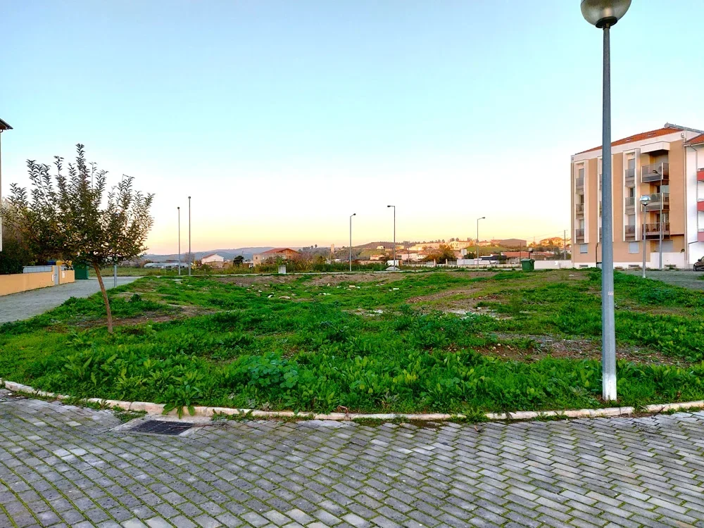 O terreno antes da intervenção, ao fim da tarde, coberto de vegetação espontânea junto à rotunda.