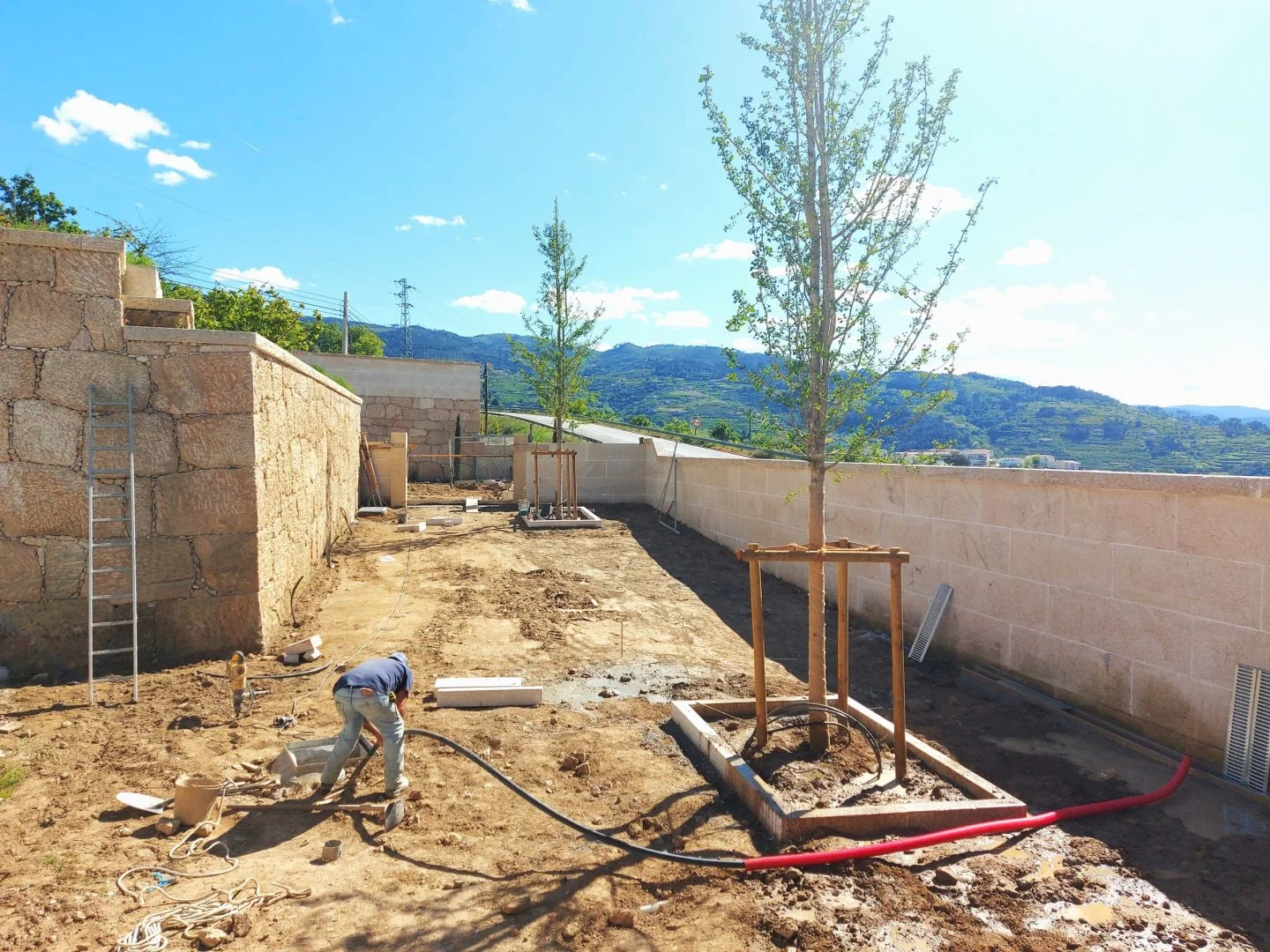 Trabalhos de plantação junto ao muro de pedra, com árvore tutorada e rega em instalação.