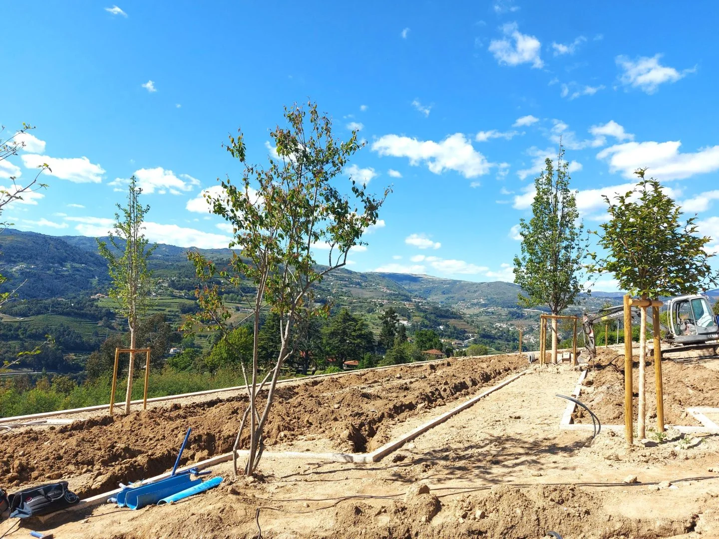 Árvores recém-plantadas e tutoradas no terreno ainda em terra batida.