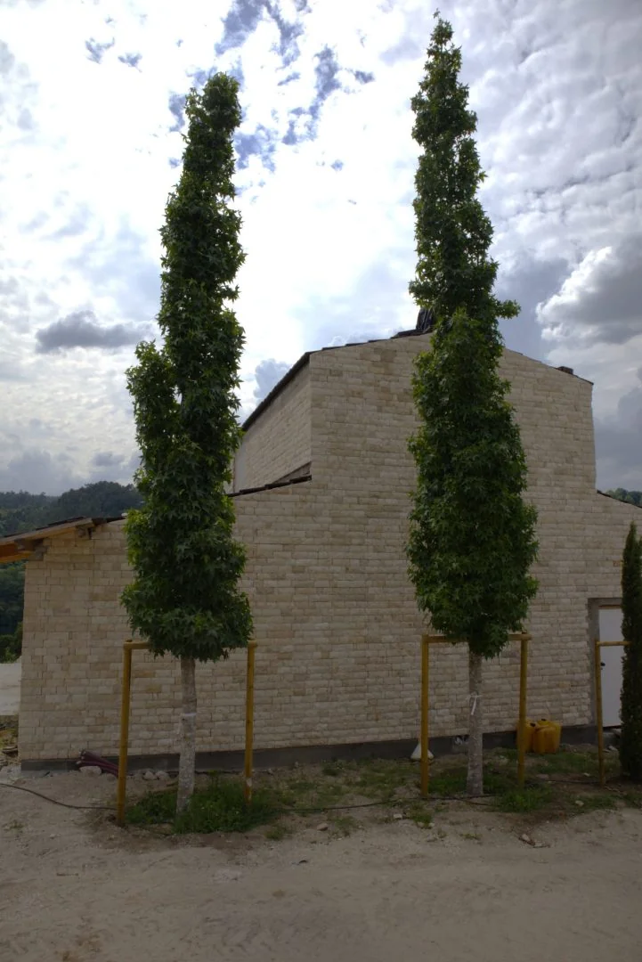 Duas árvores fastigiadas tutoradas junto à empena do edifício.