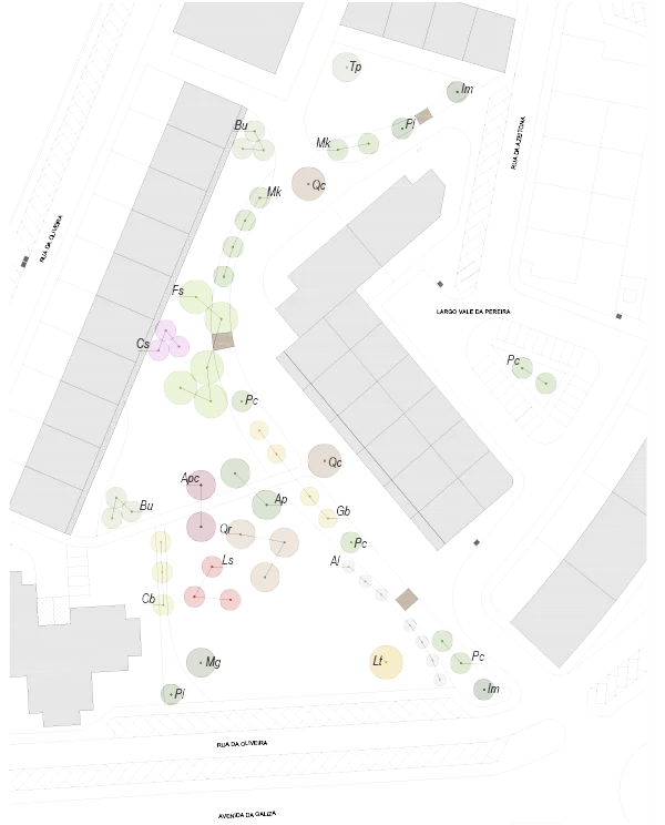 Planta de plantação: árvores e arbustos identificados por código sobre a planta do parque.