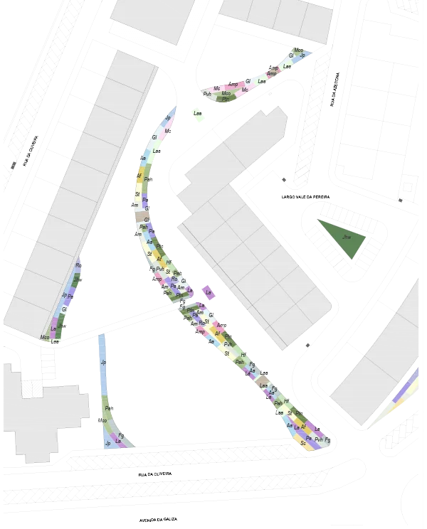 Planta de pormenor: o alinhamento de plantação ao longo do percurso do parque.